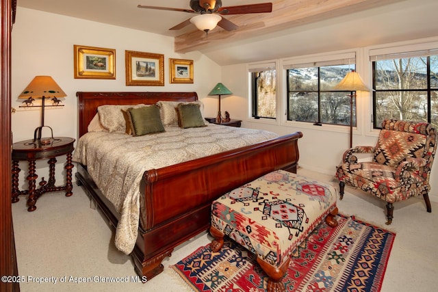 100 N 8th St Unit 28, Aspen, CO 81611 - photo 6