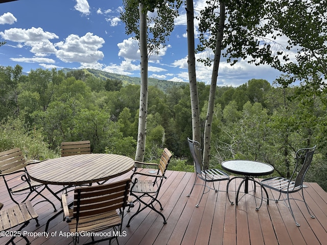 100 N 8th St Unit 28, Aspen, CO 81611 - photo 13