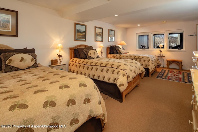 100 N 8th St Unit 28, Aspen, CO 81611 - photo 11