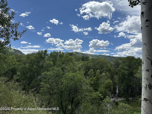 100 N 8th St Unit 28, Aspen, CO 81611 - photo 15