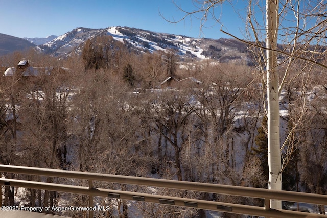 100 N 8th St Unit 28, Aspen, CO 81611 - photo 20