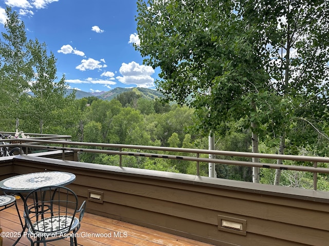100 N 8th St Unit 28, Aspen, CO 81611 - photo 14