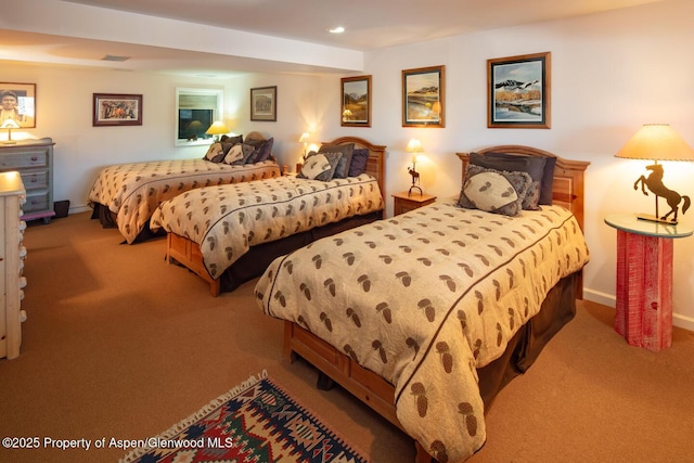 100 N 8th St Unit 28, Aspen, CO 81611 - photo 10
