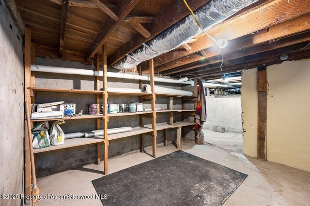 580 Curtis Ave, De Beque, CO 81630 - view of storage