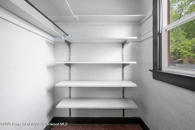 view of walk in closet