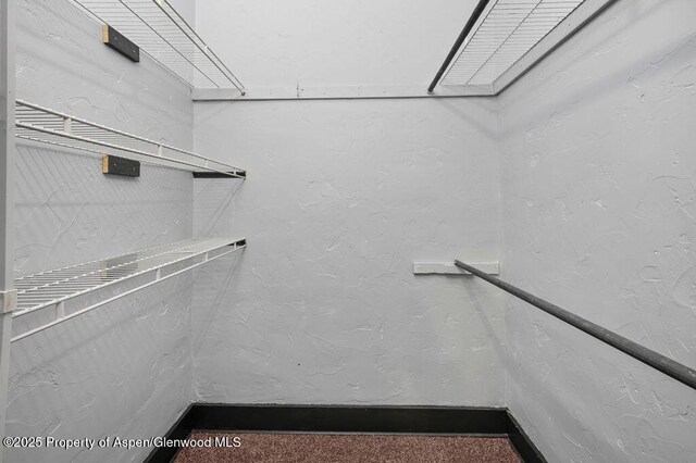 580 Curtis Ave, De Beque, CO 81630 - view of walk in closet