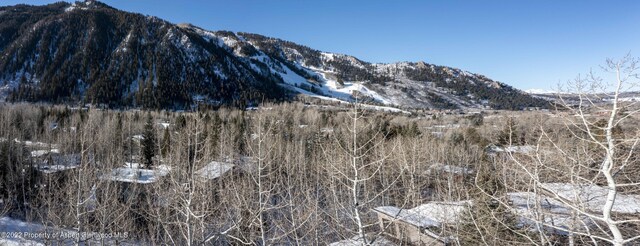 view of mountain feature