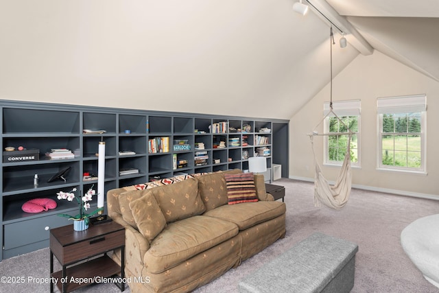 755 Hearthstone Dr, Basalt, CO 81621 - photo 13