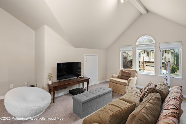 755 Hearthstone Dr, Basalt, CO 81621 - photo 12