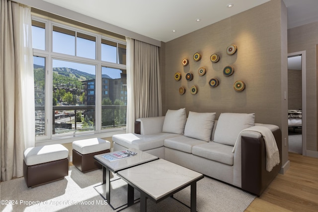 living room featuring a mountain view and light hardwood / wood-style floors