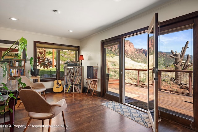 doorway to outside featuring crown molding, a mountain view, and dark hardwood / wood-style floors