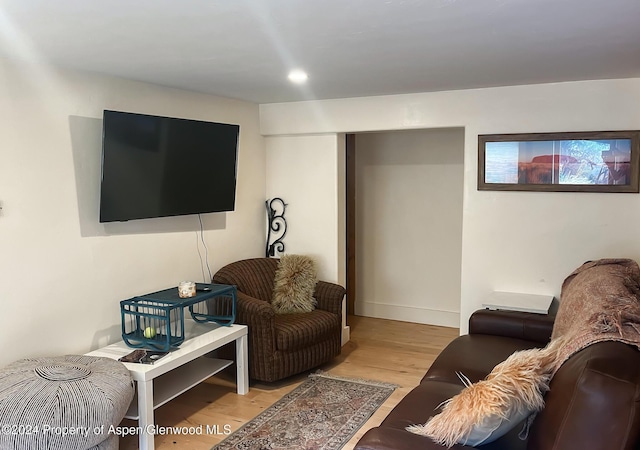 living room with light hardwood / wood-style flooring