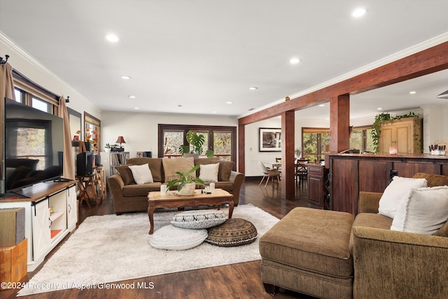 living room with dark hardwood / wood-style floors, plenty of natural light, and crown molding