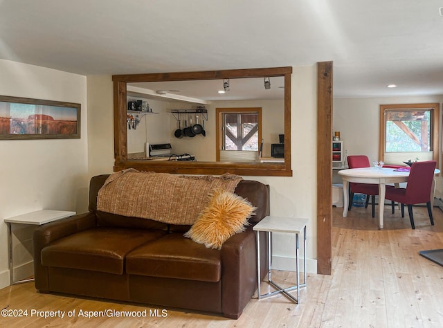 living room featuring light hardwood / wood-style flooring