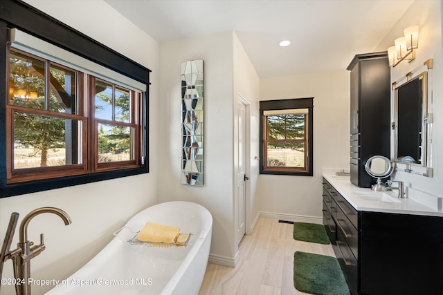 bathroom with a bathing tub, vanity, and wood-type flooring