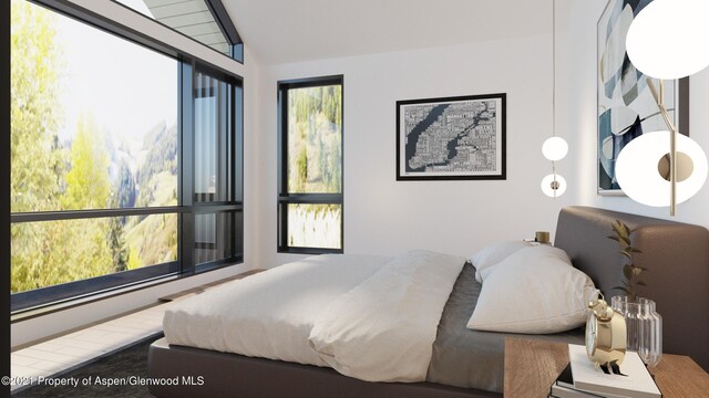 bedroom with lofted ceiling