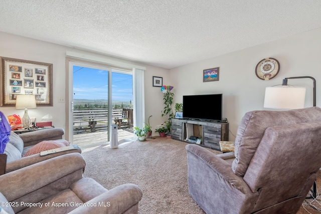 2201/2203 B St, Craig, CO 81625 - living room with carpet floors and a textured ceiling