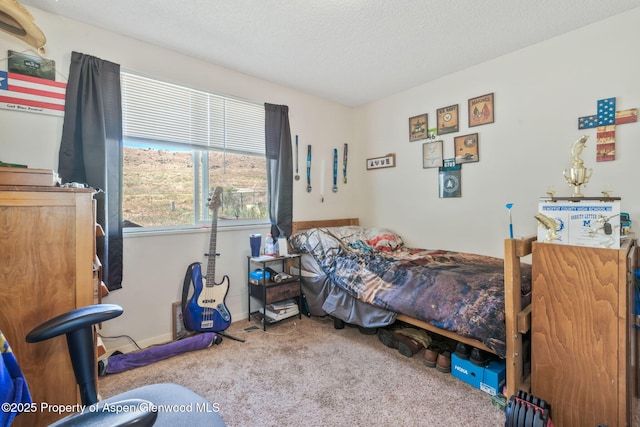 2201/2203 B St, Craig, CO 81625 - carpeted bedroom with a textured ceiling