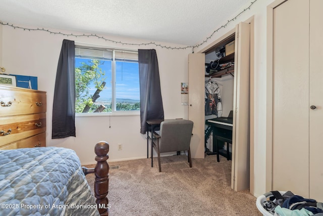 2201/2203 B St, Craig, CO 81625 - carpeted bedroom with a textured ceiling and a closet