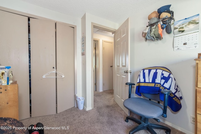 2201/2203 B St, Craig, CO 81625 - bedroom with carpet floors, a textured ceiling, and a closet