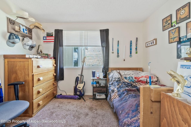 2201/2203 B St, Craig, CO 81625 - bedroom with carpet and a textured ceiling