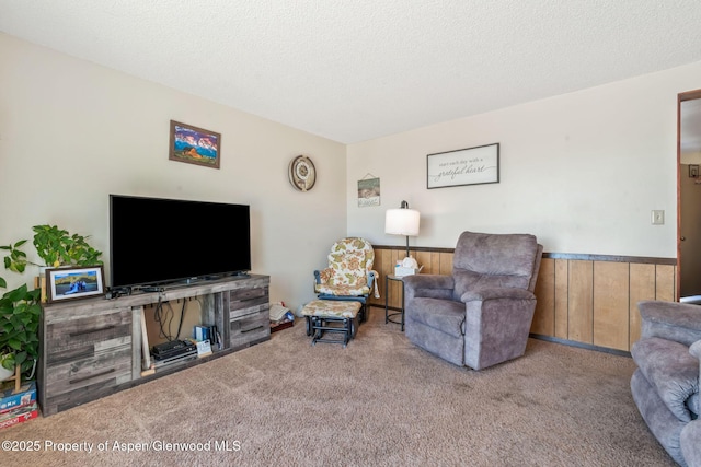 2201/2203 B St, Craig, CO 81625 - carpeted living room with a wainscoted wall and a textured ceiling