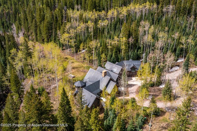 800 S Hayden Rd, Aspen, CO 81611 - photo 39
