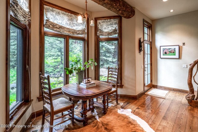 800 S Hayden Rd, Aspen, CO 81611 - photo 16