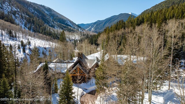 800 S Hayden Rd, Aspen, CO 81611 - photo 3