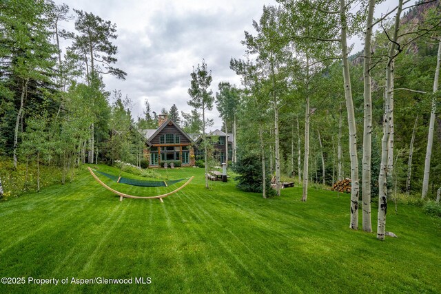 800 S Hayden Rd, Aspen, CO 81611 - photo 40