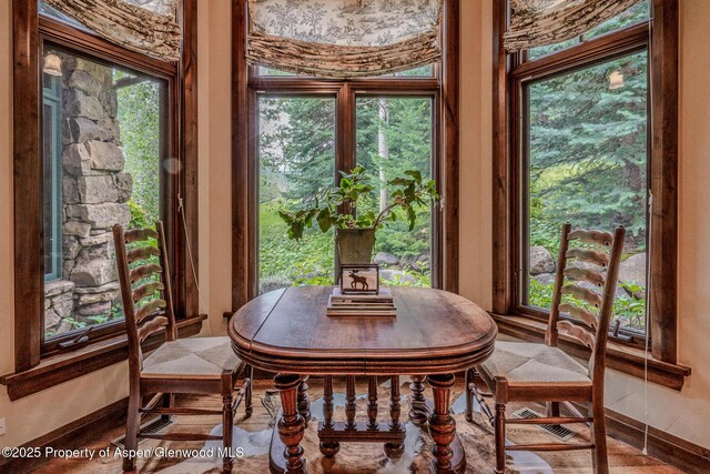 800 S Hayden Rd, Aspen, CO 81611 - photo 17