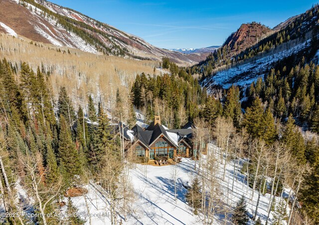 800 S Hayden Rd, Aspen, CO 81611 - photo 43