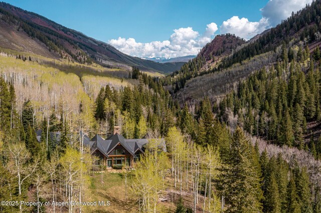 800 S Hayden Rd, Aspen, CO 81611 - photo 8