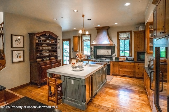 800 S Hayden Rd, Aspen, CO 81611 - photo 15