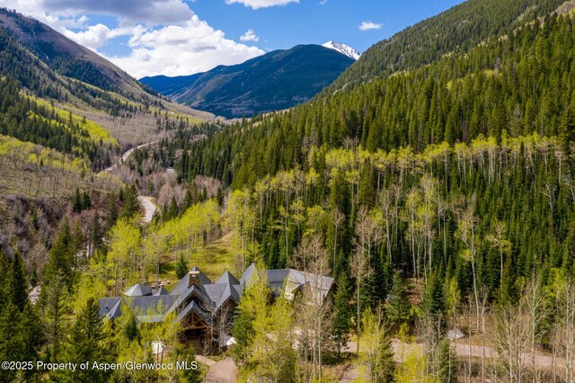 800 S Hayden Rd, Aspen, CO 81611 - photo 42
