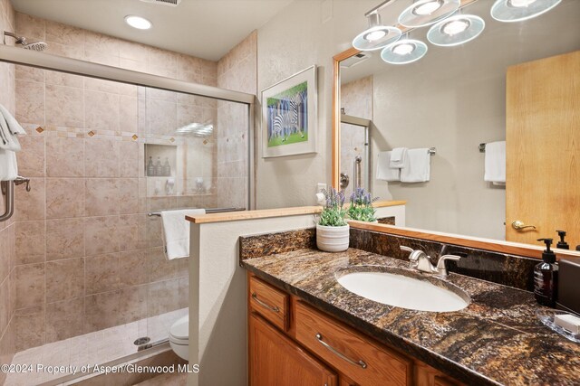 bathroom with vanity, toilet, and walk in shower