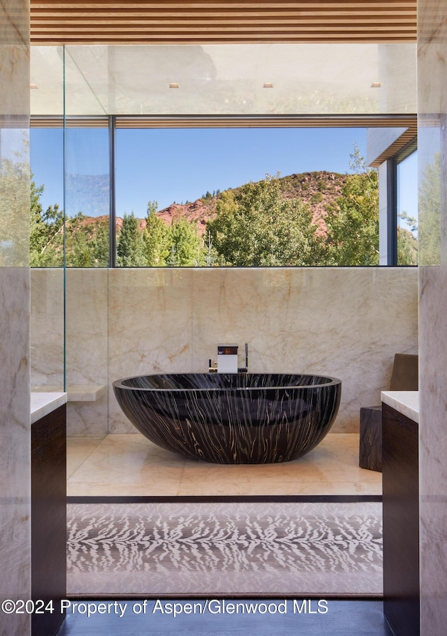 bathroom with a mountain view