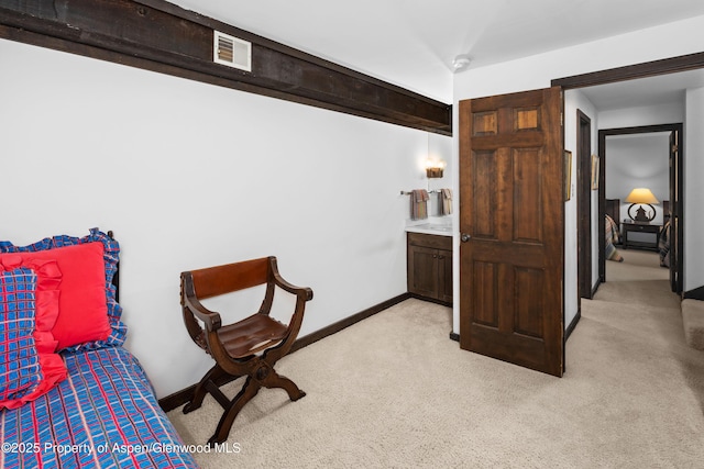 162 Bennett Bench Rd, Aspen, CO 81611 - bedroom with light colored carpet