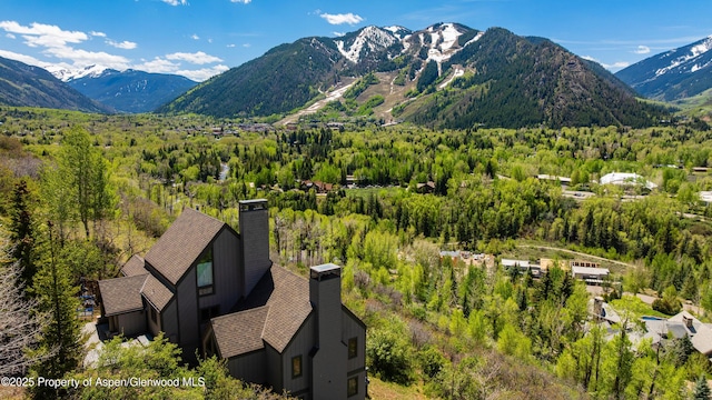 162 Bennett Bench Rd, Aspen, CO 81611 - mountain view with a forest
