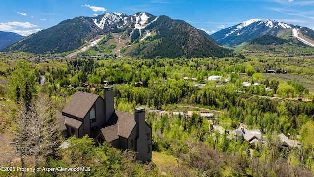 162 Bennett Bench Rd, Aspen, CO 81611 - view of mountain background with a heavily wooded area