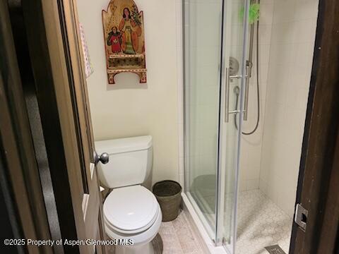 162 Bennett Bench Rd, Aspen, CO 81611 - bathroom with toilet and a stall shower