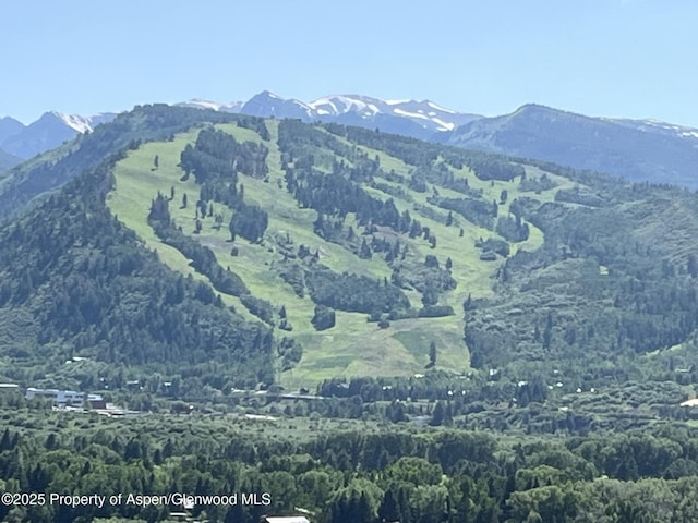 162 Bennett Bench Rd, Aspen, CO 81611 - view of mountain backdrop featuring a heavily wooded area