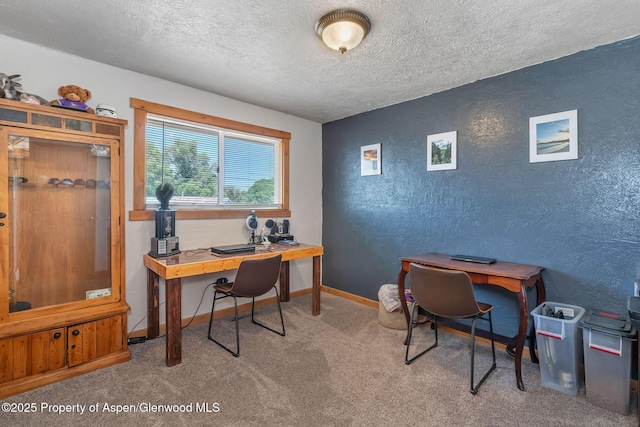 1186 Washington St, Craig, CO 81625 - office featuring a textured wall, a textured ceiling, and carpet flooring