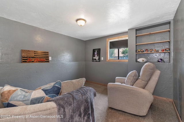 1186 Washington St, Craig, CO 81625 - living room featuring a textured wall and carpet