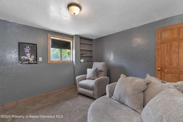 1186 Washington St, Craig, CO 81625 - living area featuring a textured wall, carpet, and a textured ceiling