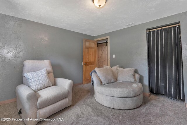 1186 Washington St, Craig, CO 81625 - sitting room featuring a barn door, carpet, and a textured wall