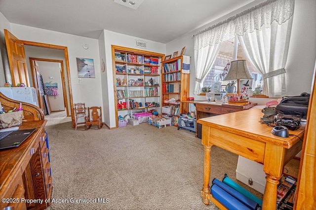 37 Pronghorn Rd, Craig, CO 81625 - office space with carpet floors