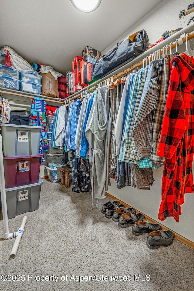 37 Pronghorn Rd, Craig, CO 81625 - walk in closet featuring carpet