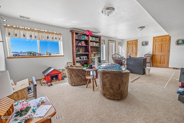 37 Pronghorn Rd, Craig, CO 81625 - carpeted living room with baseboards