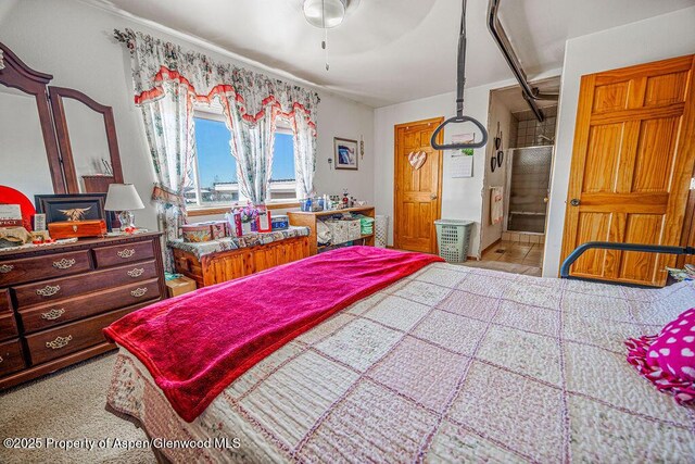37 Pronghorn Rd, Craig, CO 81625 - bedroom with ensuite bath